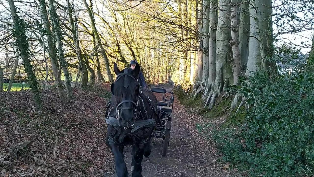Eco-Gite La Chambre Du Vanneur Mentheville 外观 照片